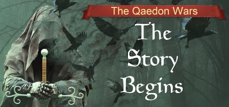 The Qaedon Wars - The Story Begins Cover Image