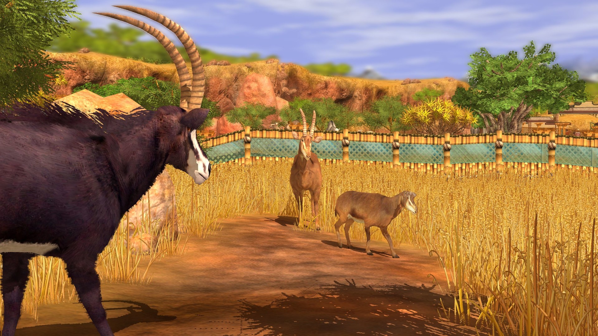 Zoo Tycoon 3: Sable Antelope 