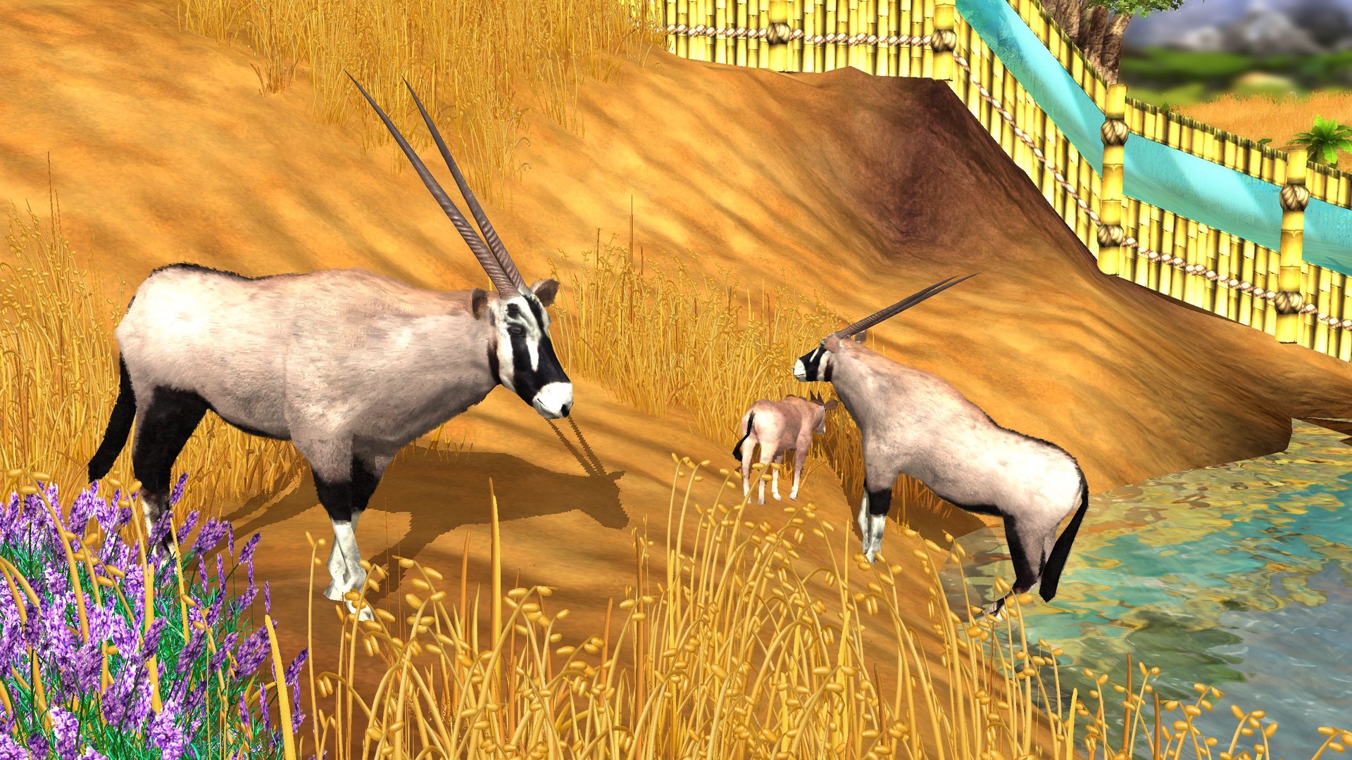 Zoo Tycoon 3: Sable Antelope 