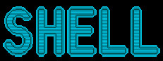 SHELL 게임 이미지