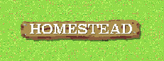 Homestead 게임 이미지
