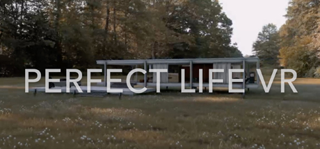 Perfect Life VR Cover Image