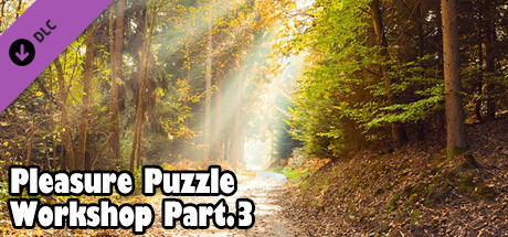 Pleasure Puzzle:Workshop - Part 3 banner image