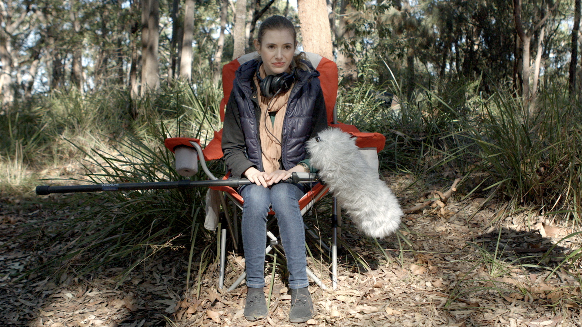 The Claire Wizard Thesis #4