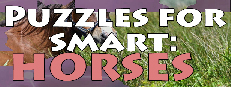 Puzzles for smart: Horses