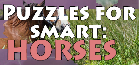 Puzzles for smart: Horses Cover Image