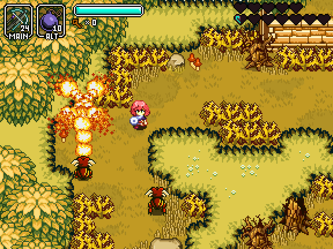 Hazelnut Bastille Demo #5