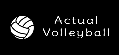 Actual Volleyball banner