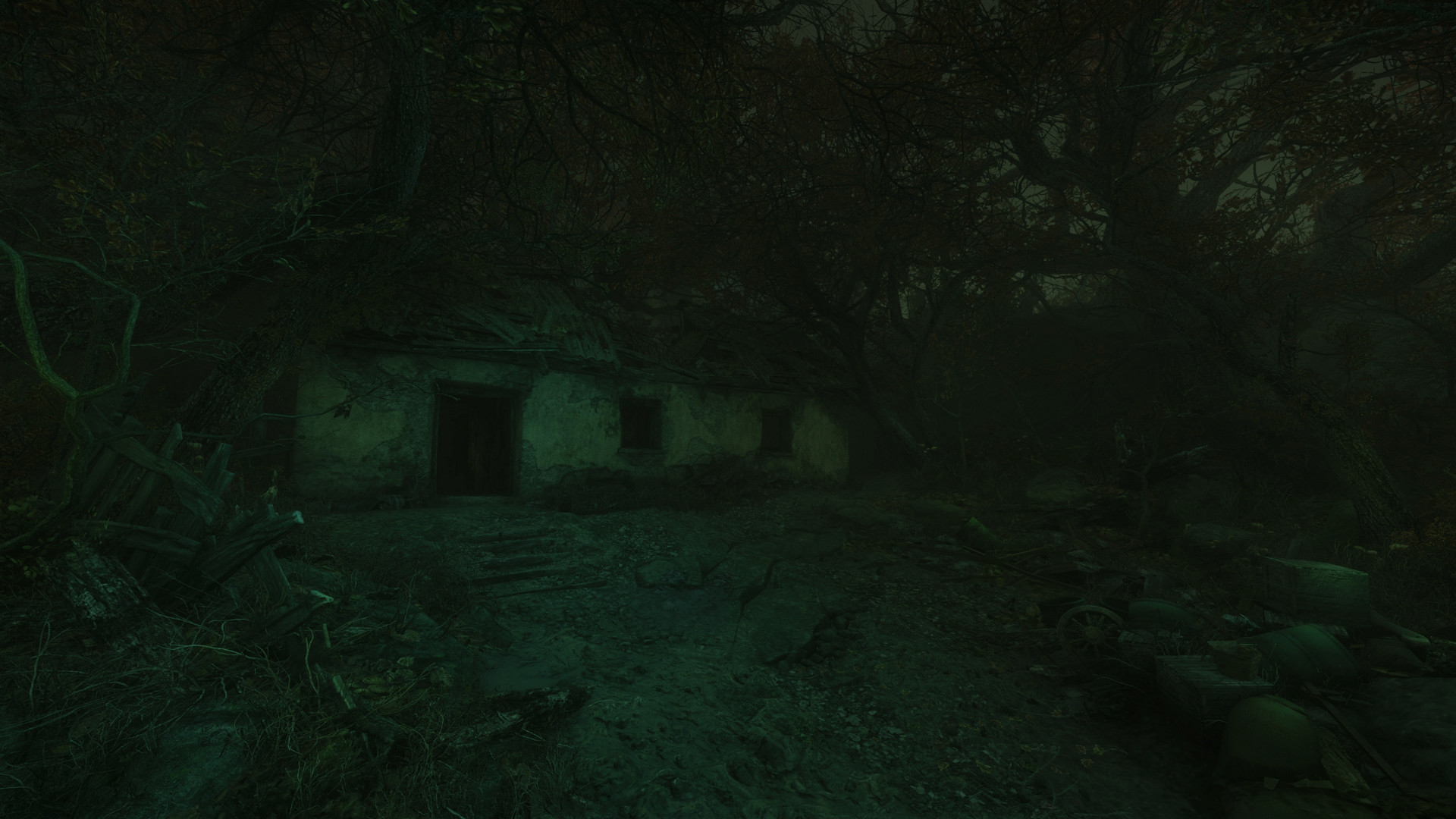 The Cursed Forest Demo #2