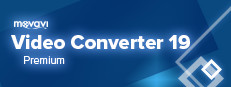 Movavi Video Converter Premium 19 게임 이미지