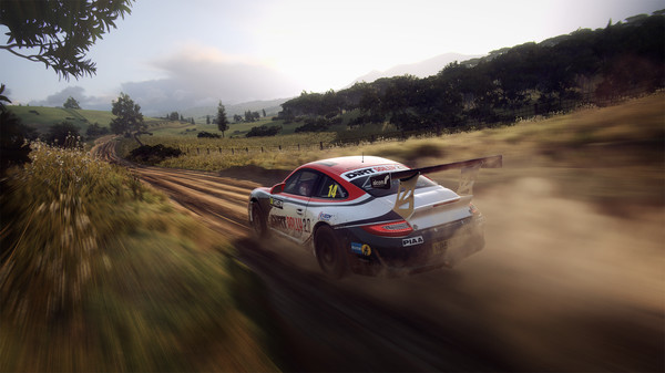 скриншот DiRT Rally 2.0 - Porsche 911 RGT Rally Spec 5