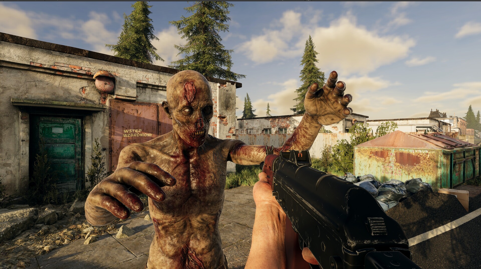 Damn Zombies