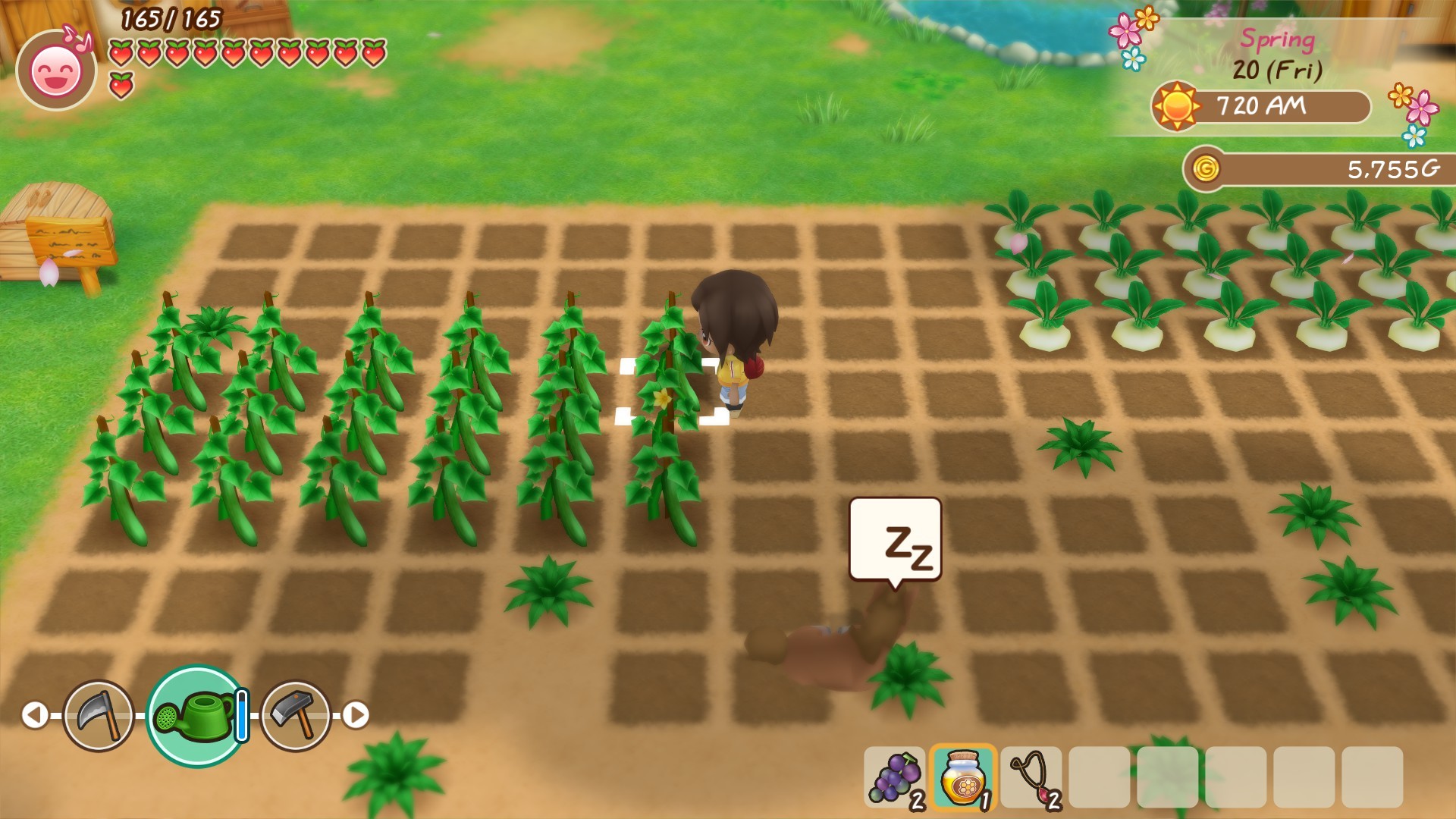 STORY OF SEASONS: Friends of Mineral Town DLC + Update Switch 3