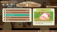 STORY OF SEASONS: Friends of Mineral Town picture8