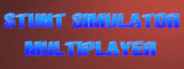 Stunt Simulator Multiplayer