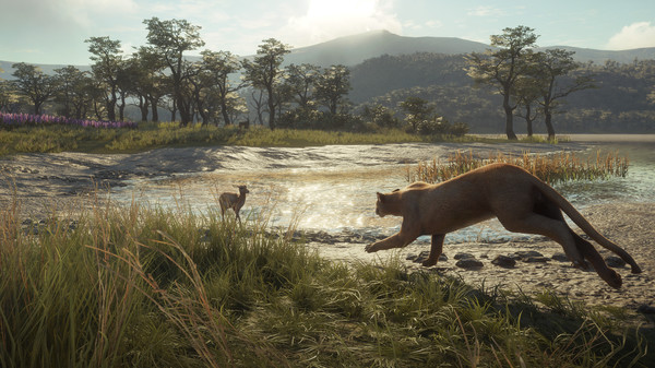 theHunter: Call of the Wild™ - Parque Fernando for steam theHunter: Call of the Wild™ - Parque Fernando for steam