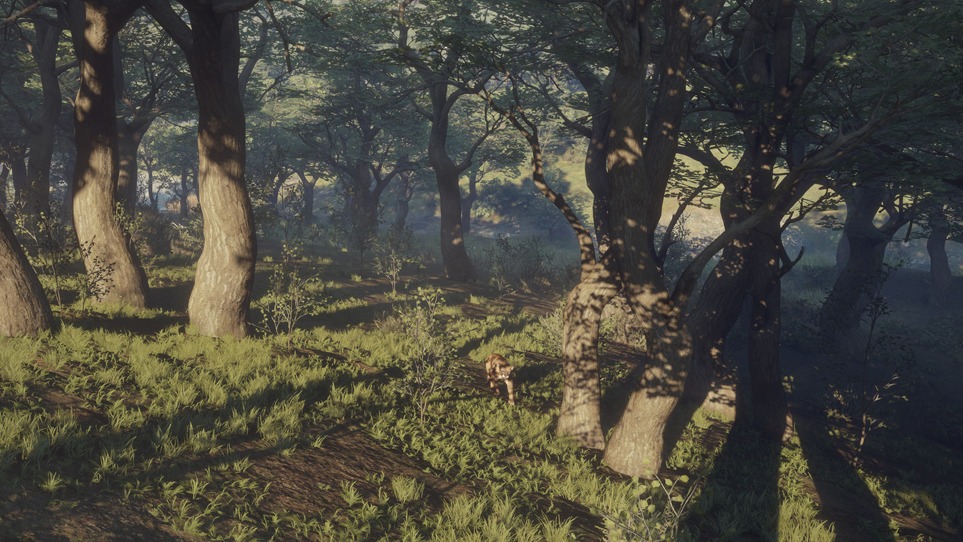 theHunter™: Call of the Wild - Parque Fernando