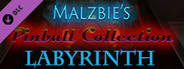 Malzbie's Pinball Collection - Labyrinth