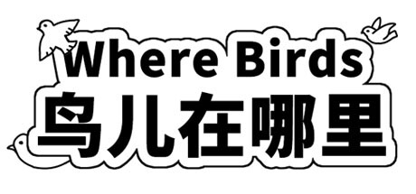 Where Birds 鸟儿在哪里 banner image