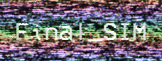 Final_SIM 게임 이미지