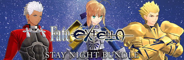 Fate/EXTELLA - Stay night Model (Nameless) on Steam