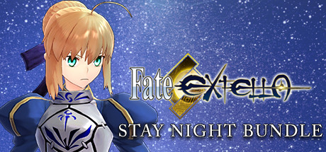 Fate/EXTELLA - Stay night Model (Nameless) on Steam