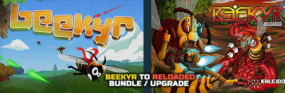 Beekyr to Reloaded Upgrade