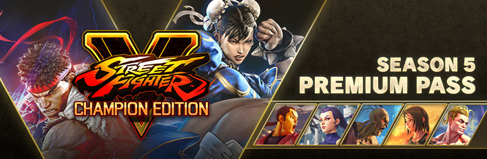 Street Fighter V - Season 5 Premium Pass DLC Steam CD Key 