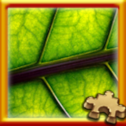 Pixel Puzzles Traditional Jigsaw Puzzles Puzzle Complete! 가이드