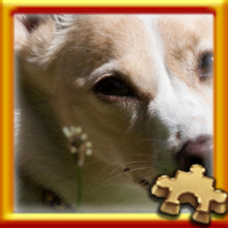 Pixel Puzzles Traditional Jigsaw Puzzles Puzzle Complete! 가이드