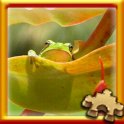 Pixel Puzzles Traditional Jigsaw Puzzles Puzzle Complete! 가이드