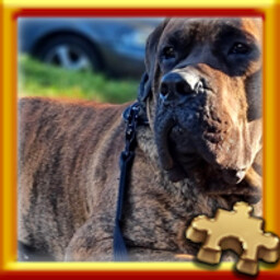 Pixel Puzzles Traditional Jigsaw Puzzles Puzzle Complete! 가이드