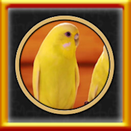 Pixel Puzzles Traditional Jigsaw Puzzles All Canarias Puzzles Complete! 가이드