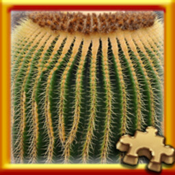 Pixel Puzzles Traditional Jigsaw Puzzles Puzzle Complete! 가이드