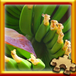 Pixel Puzzles Traditional Jigsaw Puzzles Puzzle Complete! 가이드