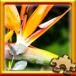 Pixel Puzzles Traditional Jigsaw Puzzles Puzzle Complete! 가이드