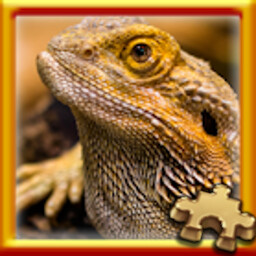 Pixel Puzzles Traditional Jigsaw Puzzles Puzzle Complete! 가이드
