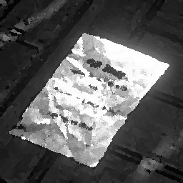 골든 라이트 A Good Read 가이드