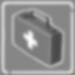 Dordogne 응급 처치 가이드