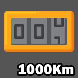Odometer 1000Km
