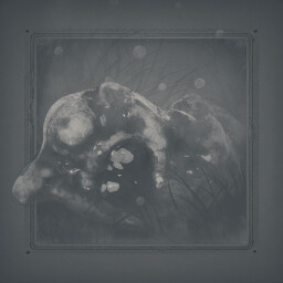 BLACKTAIL 독성 물질 가이드