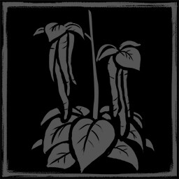 Wildmender Amaranth Collector 가이드