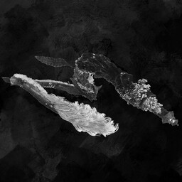 클레르 옵스퀴르: 33 원정대 파라오 가이드