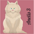 ANELIS 3 achievement