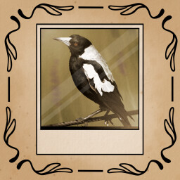 Fix the Bird Display