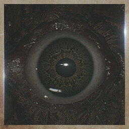 Eye of the Amygdala