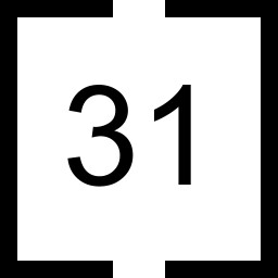 Level 31