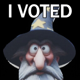 I Voted for Wizards Wacky World