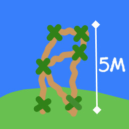 Reach 5m