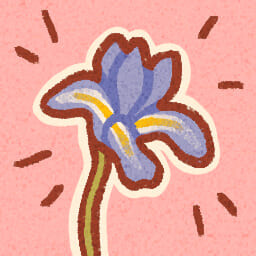 Hello, Iris!